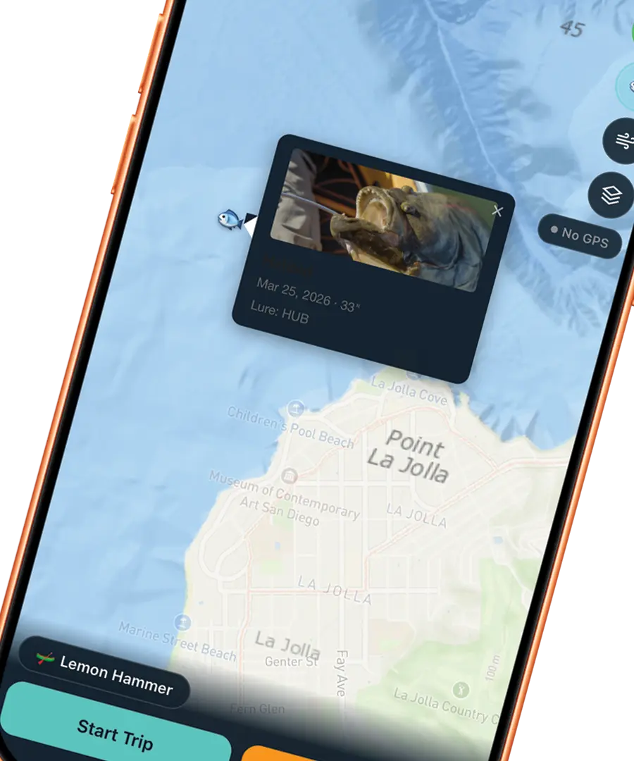 Fish catch logging interface